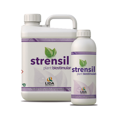Montaje_Garrafaybotella_strensil_LIDA png