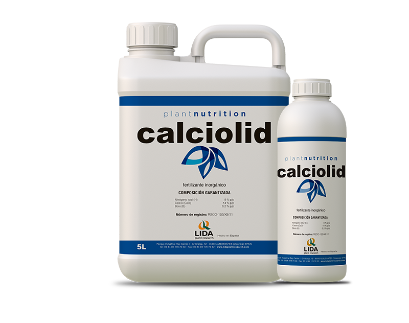 calciolid